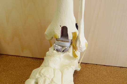 һȫ׹ؽû  ȸ