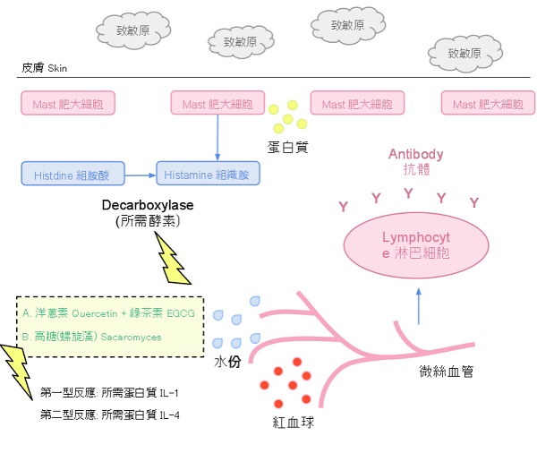 濕疹皮膚