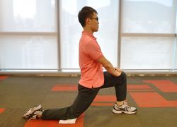 Hip Flexor