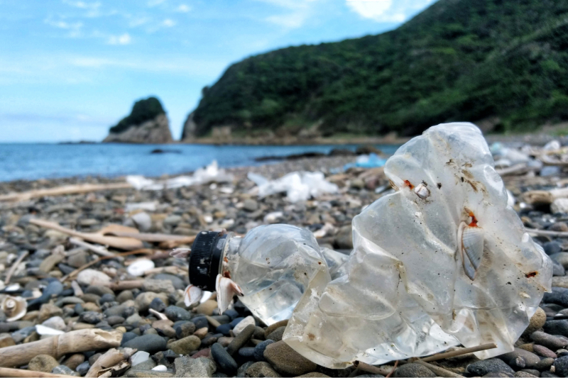 全球海水污染危機8大真相 估計2050年海洋中塑膠將比魚類多
