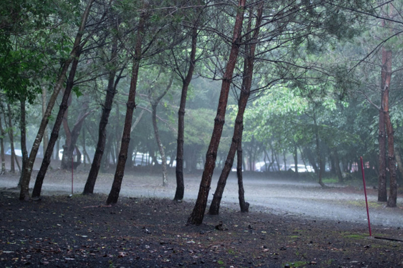 【芒種食譜】梅雨天易睏倦濕疹發作 中醫教煲祛濕湯水
