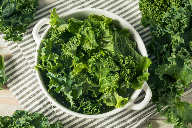 【羽衣甘藍哪裡買?】超級食物羽衣甘藍5大功效!食譜推介