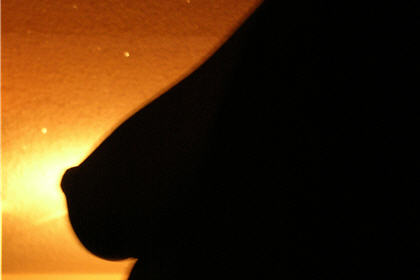 由零開始認識矽膠袋