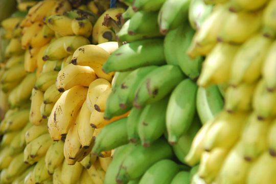 營養師教路：瘦身食青蕉