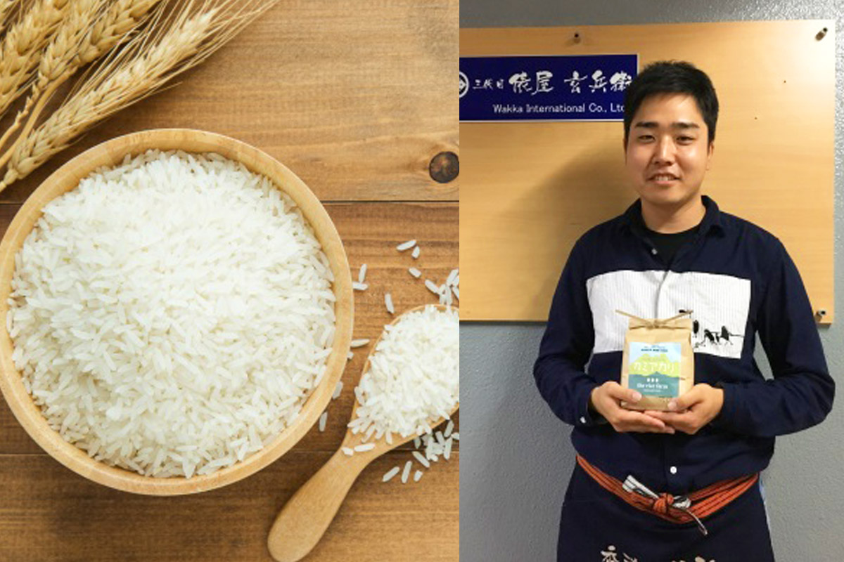 泰國米、日本米有何分別？米博士教煮「神授米」營養多3倍