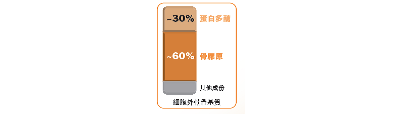 抗疫在家服用鈣、葡萄糖胺未必有助護關節？中大調查揭補關謬誤(附醫生建議)