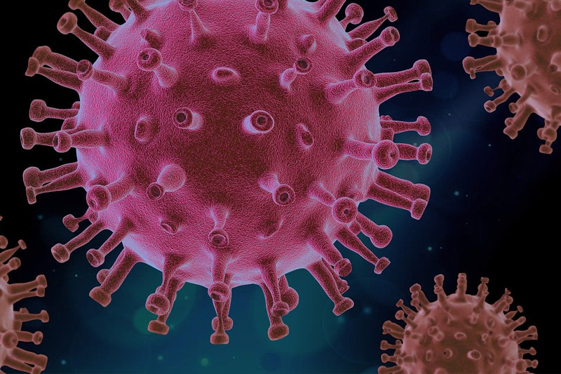 【新冠肺炎】英媒：中國7年前發現類新冠病毒　樣本相似度96.2%