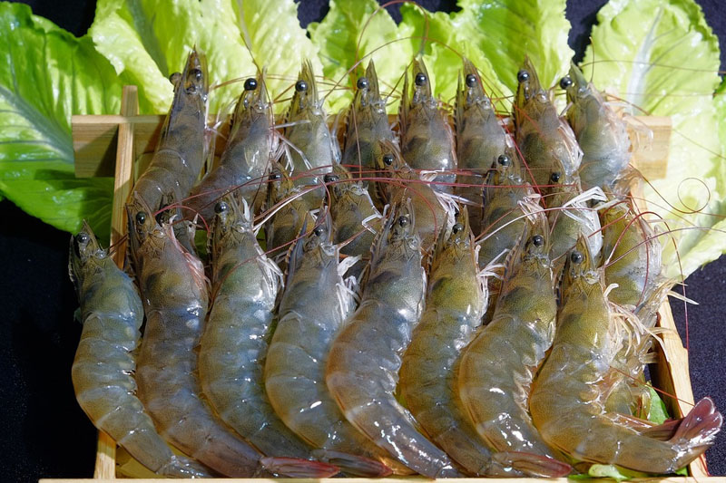 【食肉菌手指】男子洗蝦被刺傷染食肉菌需截指保命