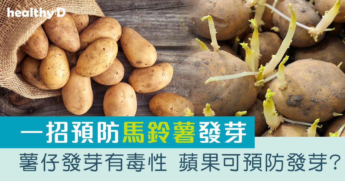 健康飲食|薯仔發芽會有毒 教你一招預防馬鈴薯發芽 | healthyD.com