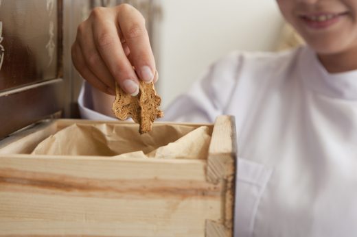 手術後進補要點 | 當歸怎樣吃？中醫推介2款常用的補氣、健脾湯療食譜