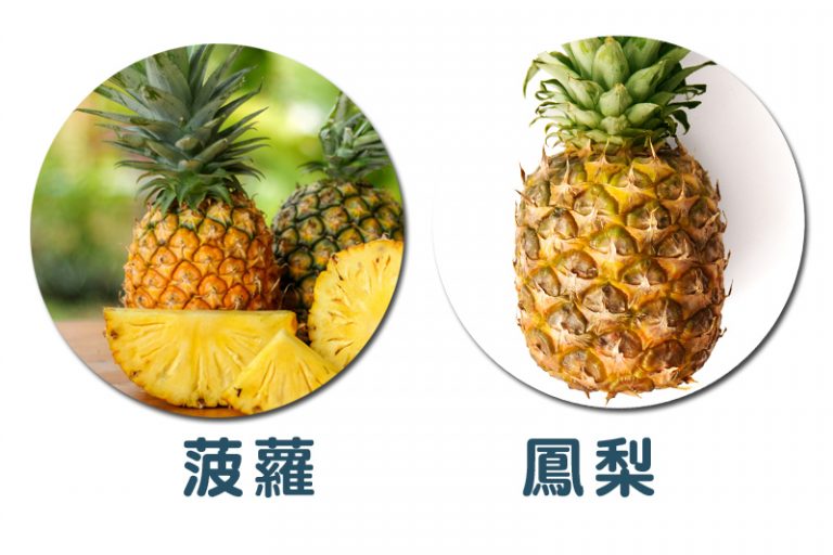 金鑽鳳梨vs菠蘿
