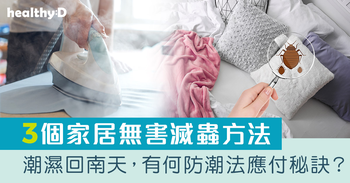 回南天｜房間潮濕怎麼辦？必學3個家居滅蟲防治法