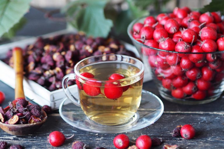 消滯茶療食譜|山楂消食飲