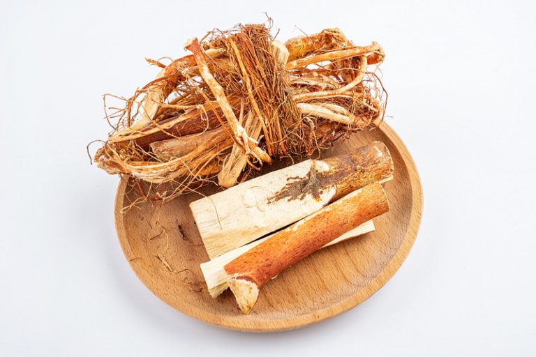 五指毛桃功效-禁忌-副作用-中醫-補氣-五指毛桃湯-食譜推介