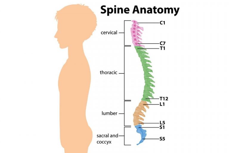 1. 睡覺時保持脊椎正常弧度