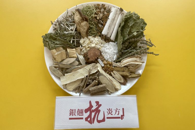 特製中醫抗疫藥方｜銀翹抗炎方