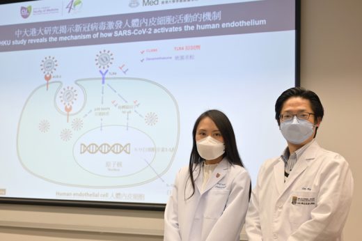 中大港大幹細胞研究揭示新冠病毒誘發血管炎症新機制