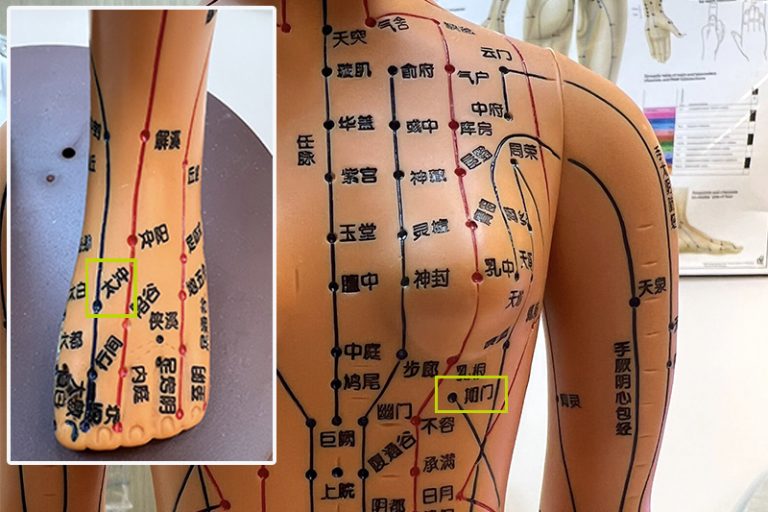 穴位-期門-太衝