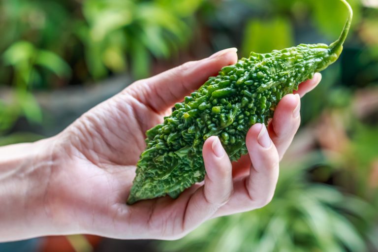 立夏食療-廿四節氣-苦瓜黃豆排骨湯清熱降火-苦瓜好處