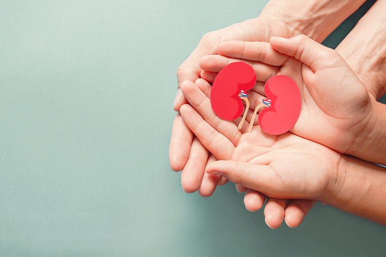 多囊腎:腎臟被撐大, 腹脹, 腰痛;尿道發炎、腎結石,血尿