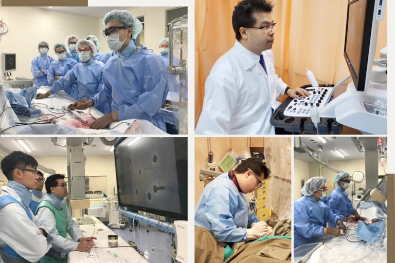 心臟科專科醫生-陳麒尹醫生-healthyD人物專訪-瑪麗醫院