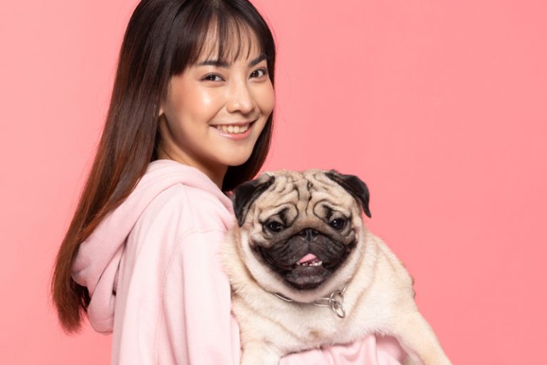 寵物保險