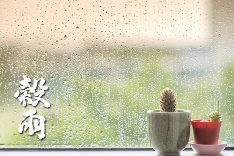 二十四節氣‧榖雨|總是疲累、食欲不振?可能是「春困」上身!中醫分享健脾利濕食療食譜