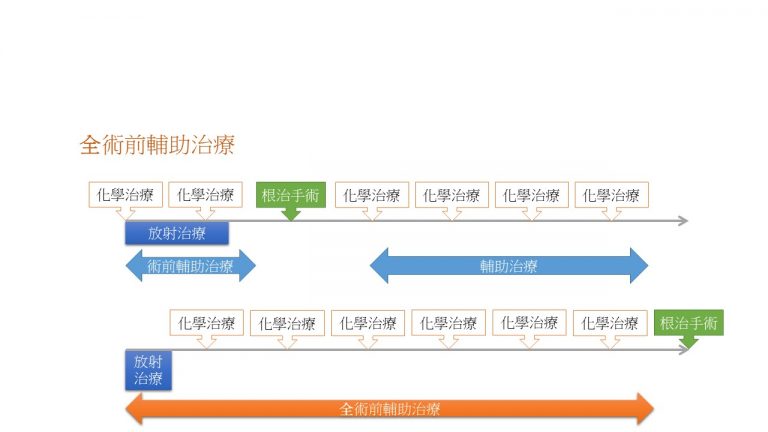 雅麗氏何妙齡那打素慈善基金會 大腸癌治療新發展