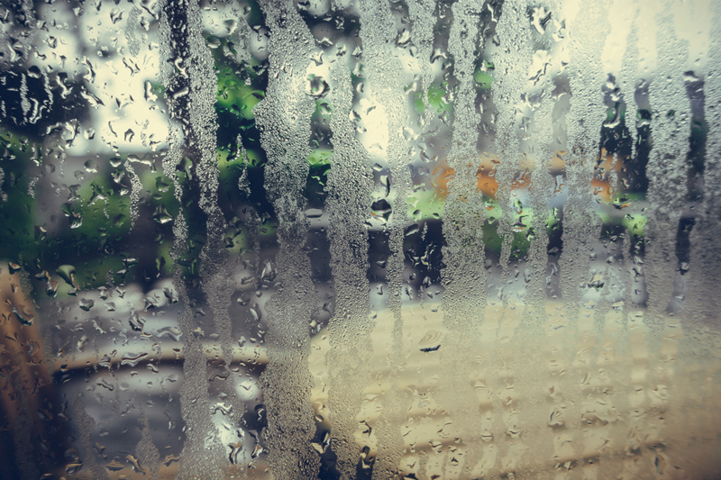 芒種．二十四節氣2024｜梅雨天易睏倦濕疹發作　中醫教煲祛濕湯水