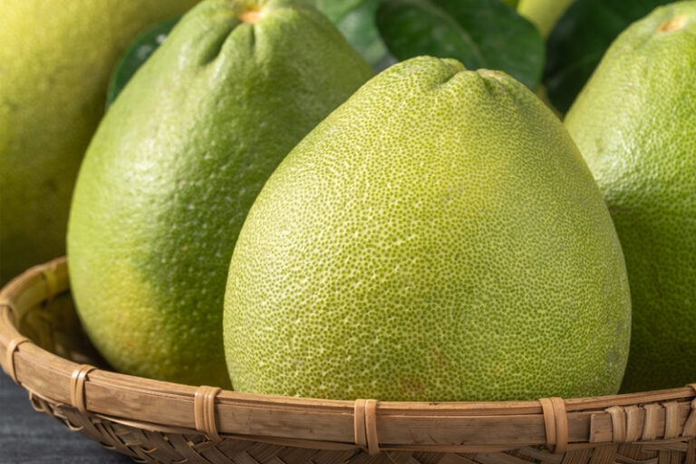 藥物相沖｜藥劑師提醒避免與7類藥物同服免相沖