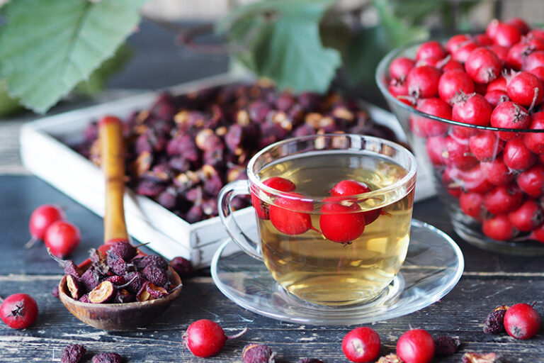 胃口差原因-食慾不振-消化不良-茶療-湯水-食療-童帶弟中醫-仁濟醫院