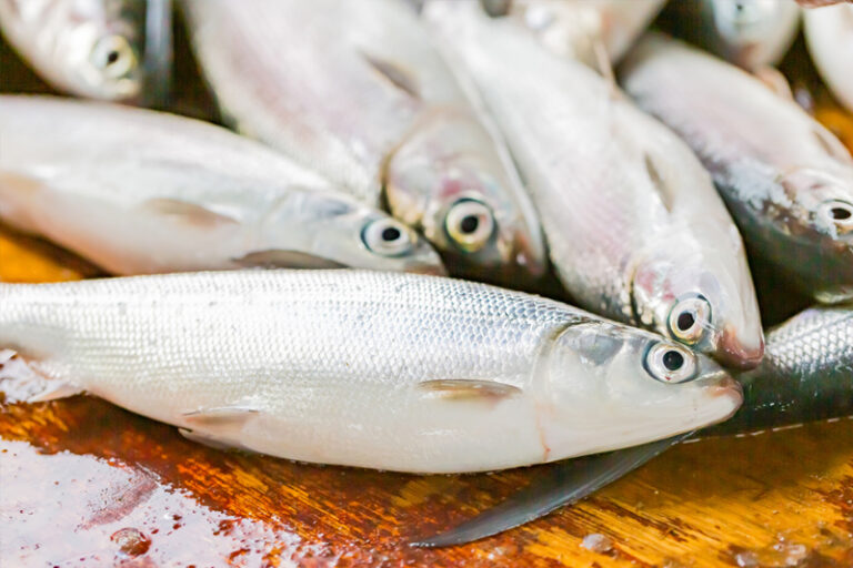 消委會公布兔年10大消費新聞