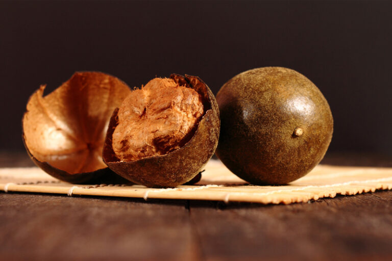 羅漢果功效-禁忌-止咳-做法-羅漢果水-金羅漢果比普通羅漢果營養價值更高