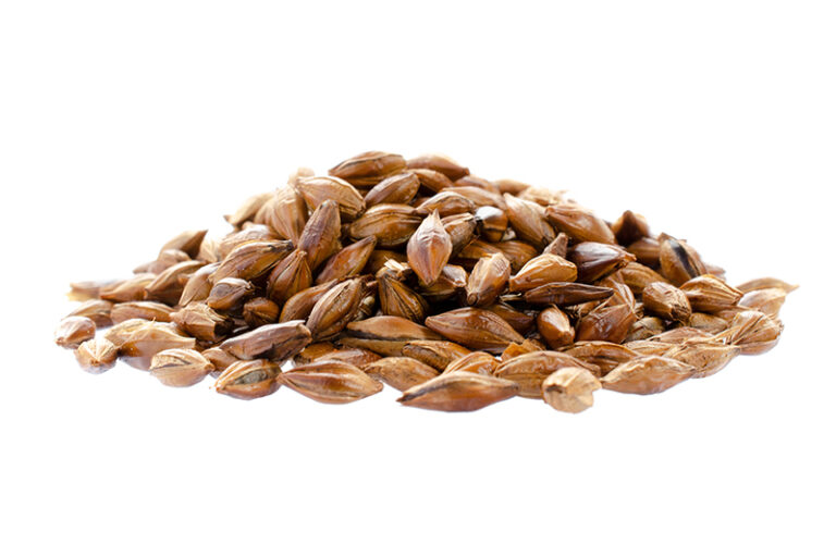 焦麥芽-消化不良解決方法-食滯-胃部頂住-中醫推介茶療助消滯-胃氣漲-胃痛-肚腹漲滿-吳凱琪醫師