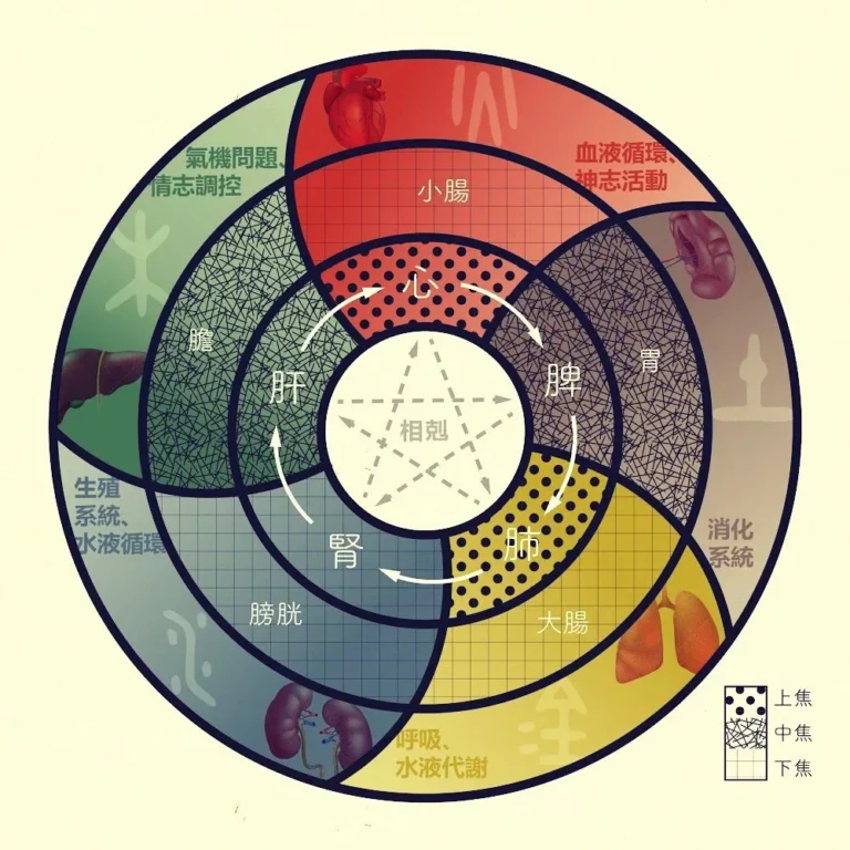 五行圖-中醫