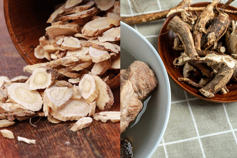 中藥補品-病後補身-調理身體-北芪-五指毛桃-功效-適用體質-蘇子謙醫生-蘇子謙中醫師