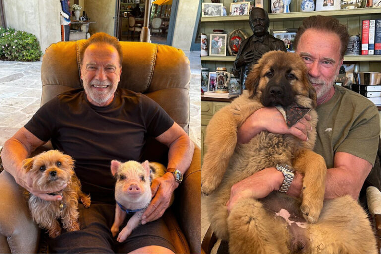 心律不正|阿諾舒華辛力加患先天性心臟病 上月出現心律不正 決定植入心臟起搏器|醫生分享使用注意事項