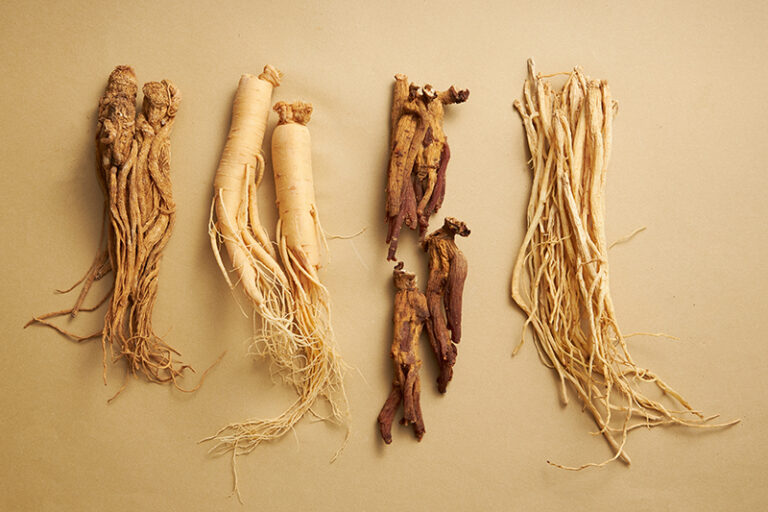 中藥補品-病後補身-調理身體-人參-紅參-花旗參-功效-適用體質-蘇子謙醫生-蘇子謙中醫師