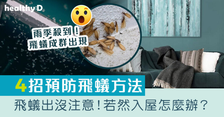 飛蟻入屋怎麼辦？與螞蟻差別在哪？了解飛蟻出現原因及4個預防飛蟻方法（附消委會防治白蟻貼士）