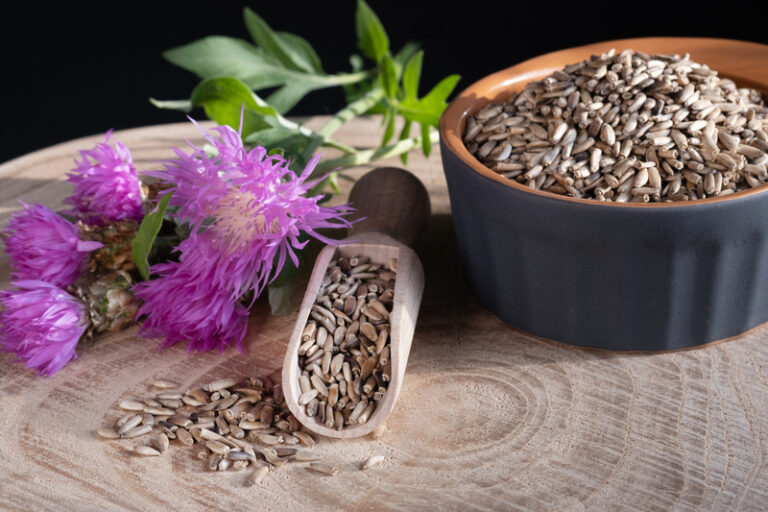 肝臟-護肝-護肝推薦-奶薊草-水飛薊素