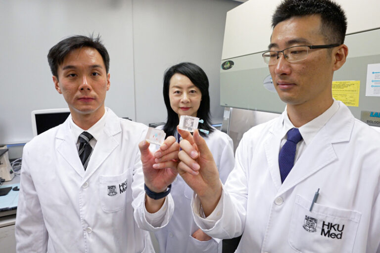 肝癌｜摘日內瓦發明展金獎！港大醫學院創全球首個仿生「肝立方」 助肝癌病人精準評估治療效果