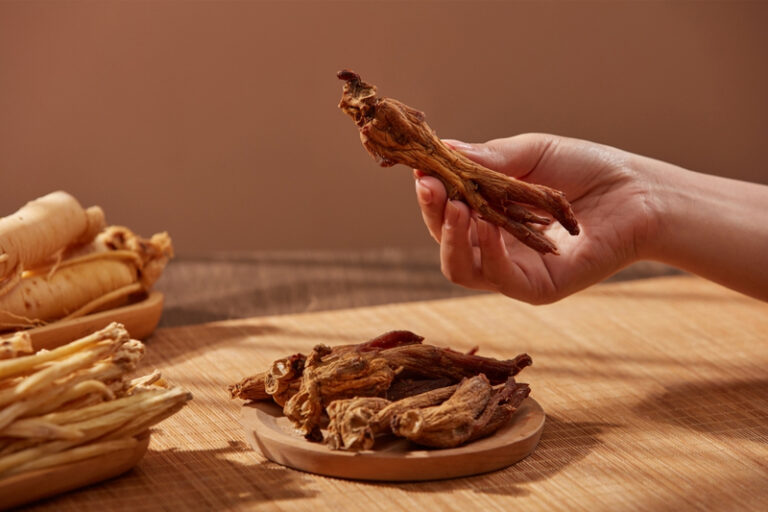 國際現代化中醫藥及健康產品會議 （ICMCM） 2024｜免費報名！18位重量級講者剖析中醫藥最新趨