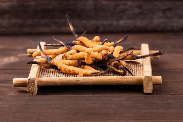 蟲草產品推薦-蟲草功效-鼻敏徵狀-鼻敏感-氣管敏感