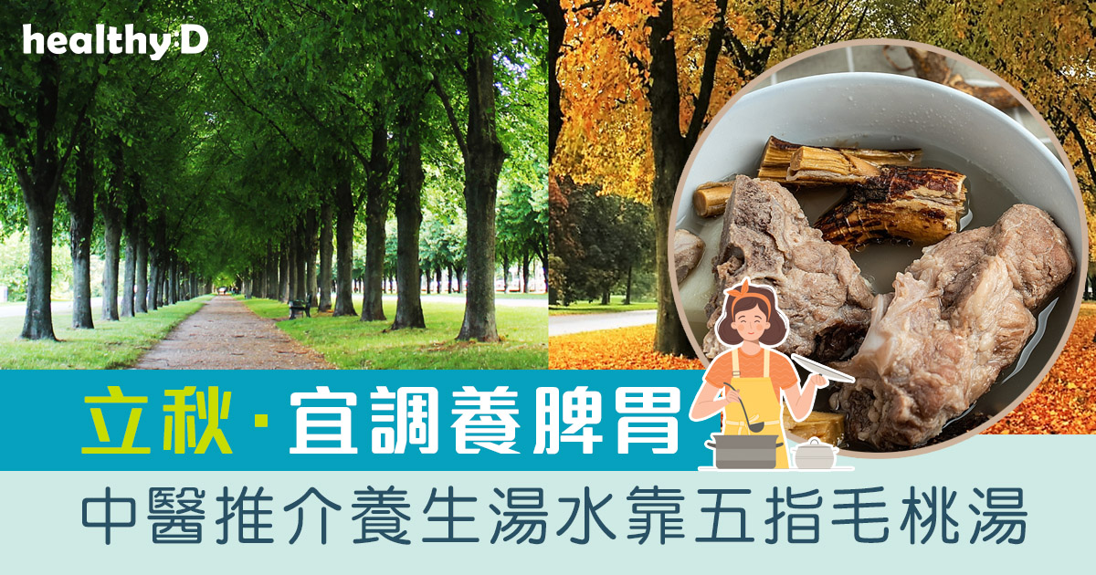立秋2026｜宜調養脾胃　祛濕靠五指毛桃湯+冬瓜薏米湯
