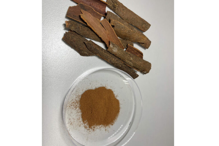 類風濕性關節炎治療新突破!港大研發新型肉桂醛納米藥物 有助提升吸收及增強治療效果