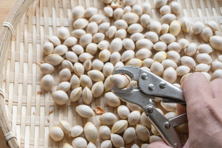 醫學新知｜中大醫學院成功改良銀杏提取物 推動阿茲海默症等神經退化性疾病藥物開發