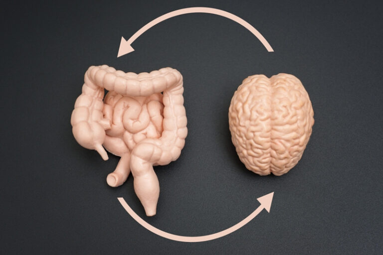 自閉症兒童-自閉症特徵-自閉症原因-自閉症-自閉症兒童症狀-兒童自閉症治療-自閉症兒童改善方法-自閉症腸腦軸-精神益生菌-Bened Life-Neuralli MP-Neuralli