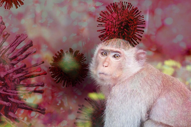 猴痘人症狀-傳染途徑-中醫治療-預防-陳志勇中醫