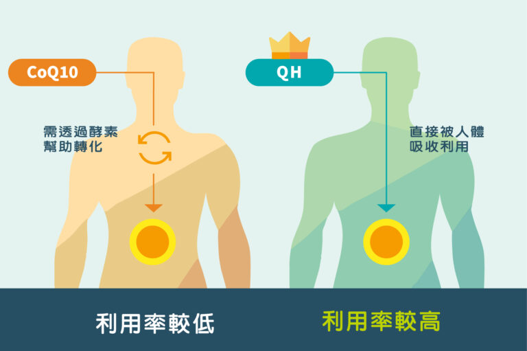 心+血管家-心+血管家-心血管家-心血管健康保健品推介-清血管-提升心臟泵血功能-強心必備營養素-QH-為心臟充電-全面維持心血管健康