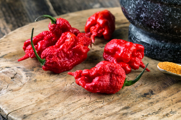 感冒戒口|傷風感冒會影響消化?可以吃甚麼?中醫提醒6類戒口食物要注意!